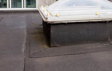 disadvantages of Eyewell flat roofs